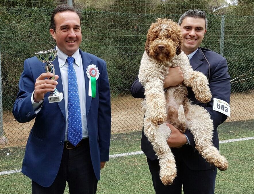 Raduno Razze Italiane Grosseto 2017