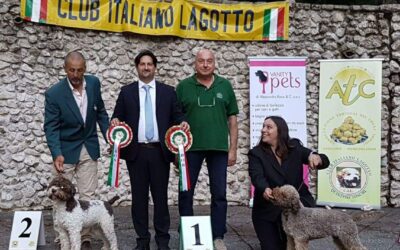 Raduno Club Italiano Lagotto Mercogliano (Av) 2017