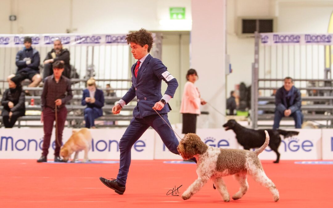 Carlo del Carpino Nero CACIB BOB, 3BOG Italian breeds group 3BOG IDS Imola 25/01/2019