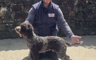 Alec of the Black Hornbeam