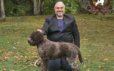 Alec del Carpino Nero